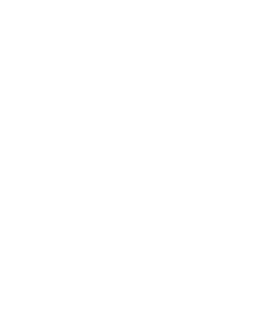 Skull Tone Studio